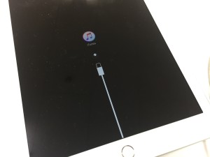 3902CFEF-F481-4A08-9DF9-EDB4A88FC09C