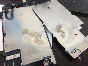 7FB3386D-169C-4810-B195-9A2543817312