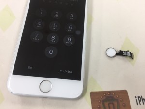 DB559D42-EECF-4850-AD50-B029F1253D31