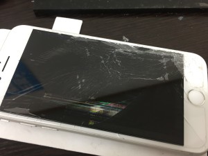 E1BD5EA7-D91E-4AEF-ADF5-CC40B50C9EFC