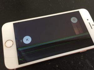 2D51447D-7668-49C0-9871-E72E94BD5695