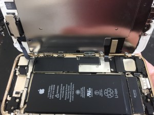 837ACE98-3598-4F93-BE36-2475B9E28853