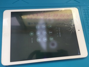 4307DF25-DD51-42B8-86C8-6F38E8D51E13