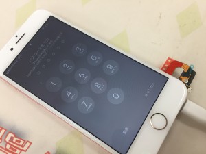 C3589D52-7508-4448-9277-E57DCAA9838E