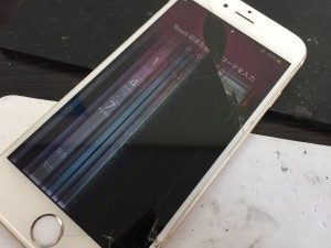 73031118-DA89-41CF-A211-8E4E00254CE1