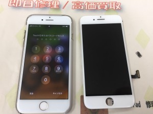 134F1B2B-4384-43F4-8723-4799EF3F5CF2