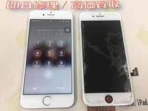 1A9CDEBB-3174-43E5-865D-EA6A35826AB8