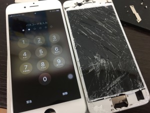 40B5269A-AD23-4606-B453-8AE66559C1F7