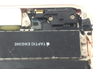 56A18C19-3A37-41AA-B784-FF79002DCCE2