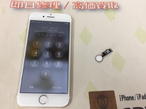 FCDE9646-AE3A-466B-853A-8E3818ABE822