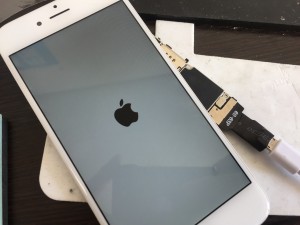 44F0977D-7DC6-48CA-94CC-019156A4DBD5