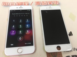 1F8773C9-6D29-4294-914C-84A98714A4D4