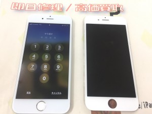 36C769DC-D1CC-4D50-A566-AFCC8489DE13