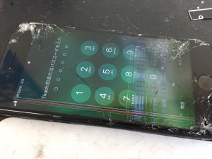 631380F9-CAF4-4784-BBE6-9F494003B16A