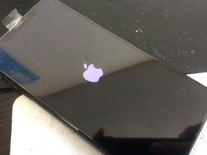 B3B0627C-D10D-4A8E-B8AD-DF3F1EE6B899