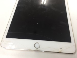 B914A174-4FE8-42B6-AAAC-04DBE74C5EEC