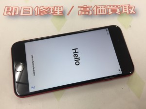 038BBA9A-C5AD-40E0-9AD6-45E607BD338C