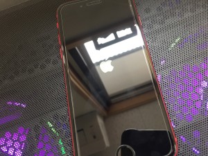 768E0389-7A5C-40AD-BED8-C297333258C3