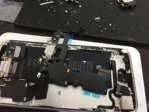 CFEC179B-D748-441D-A2AB-F3EB92D00E05