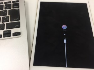 D08816E5-2C32-4E63-828A-DBB3BA926322