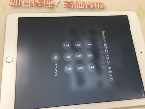 E83F9CC0-C740-4AAF-A34E-3B99D48F41B0