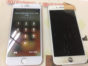 3F6E59B1-D76A-4724-99F6-D497F2704675