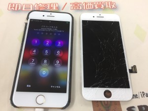 50395080-4BD5-46B7-9DDC-2AC3E4240D65