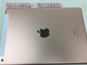 67A174E9-1C89-440E-8FBA-085597A4C50D