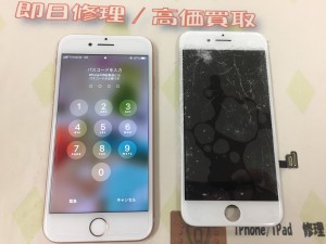 9BD56538-E410-4FDB-BBCB-05D6F5EDD399