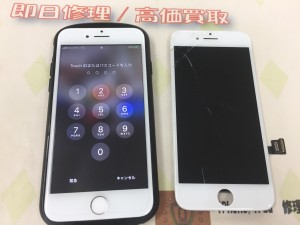 3060CC13-CA24-43A6-A02A-158091DE702B