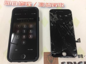 5BAD6401-F22C-4968-BD4F-3CFF7BB55034