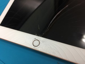 88AFDF95-0EC0-4A43-8B11-8E868070C48B