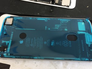 9761DBAE-17C3-48CF-9E04-2276E3A17689