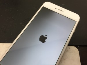 F359A98F-55D9-4EF4-AE5B-CEA14015494E