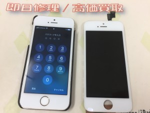 0906DB99-2BA8-4A51-BA71-FE9E240033C1