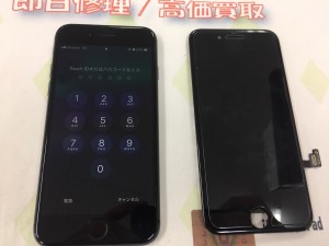 1A46A464-3889-489F-9DBA-A92B6F8E3954