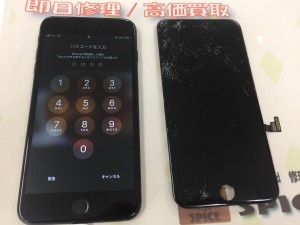 7DB9B6FA-FC83-448C-9907-26F2402408F1