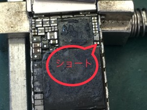 D6C16815-83EB-437B-AE23-E1F4FA18D122