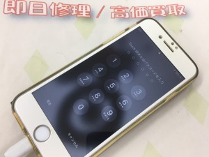 1221D2A7-6591-4034-9D98-3AAC1DD9054E