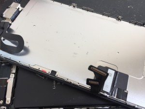 37B6A828-E084-47B9-871F-1E93C594C959