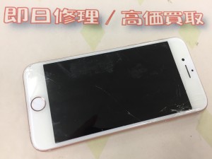 798CAC9F-D1EE-4B7D-A872-E48F6058151C