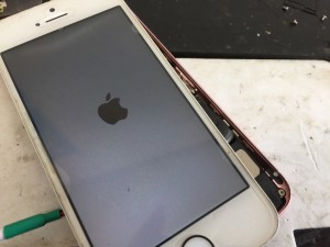 82179125-4526-428E-8F3D-CE073B3B99BC