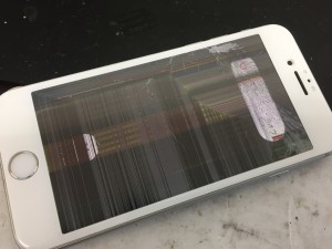 DBE9552E-81E4-457E-A906-A9F430B8009A