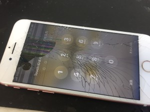 ED5093F7-3F47-4F59-A36E-AA57CCB6B87E