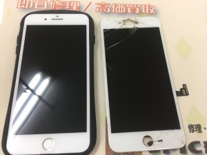 F356FD00-C186-4F86-9D02-709B21243647