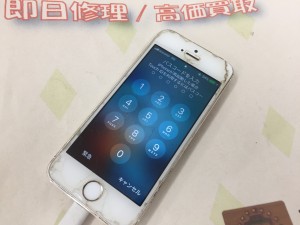 29CB0DA8-4FF6-4E11-B2BF-ED4CFA5C3F7F