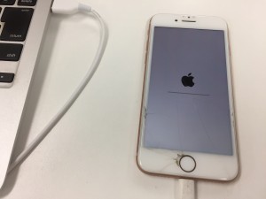 CC02D8F8-4E80-486A-95F7-7659ABB4EC8F