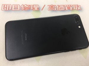 D87EC3CB-E3C4-42B8-8C19-C2473FBE06D7