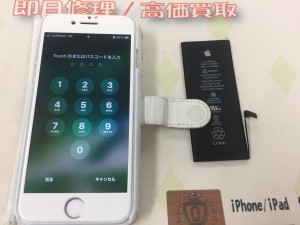 8D69E339-12CF-4250-AC30-6E3643384BEA