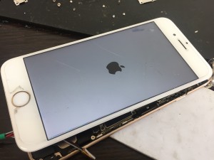 9319C80E-0A1B-4E16-9E63-BE3F4383D548